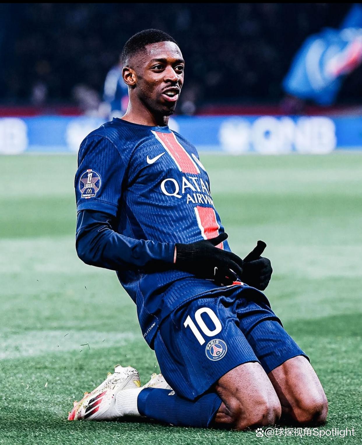 合规数据分析工具需求增长